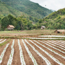 zone-agricole-oudomxay-laos