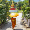 moine luang prabang temple