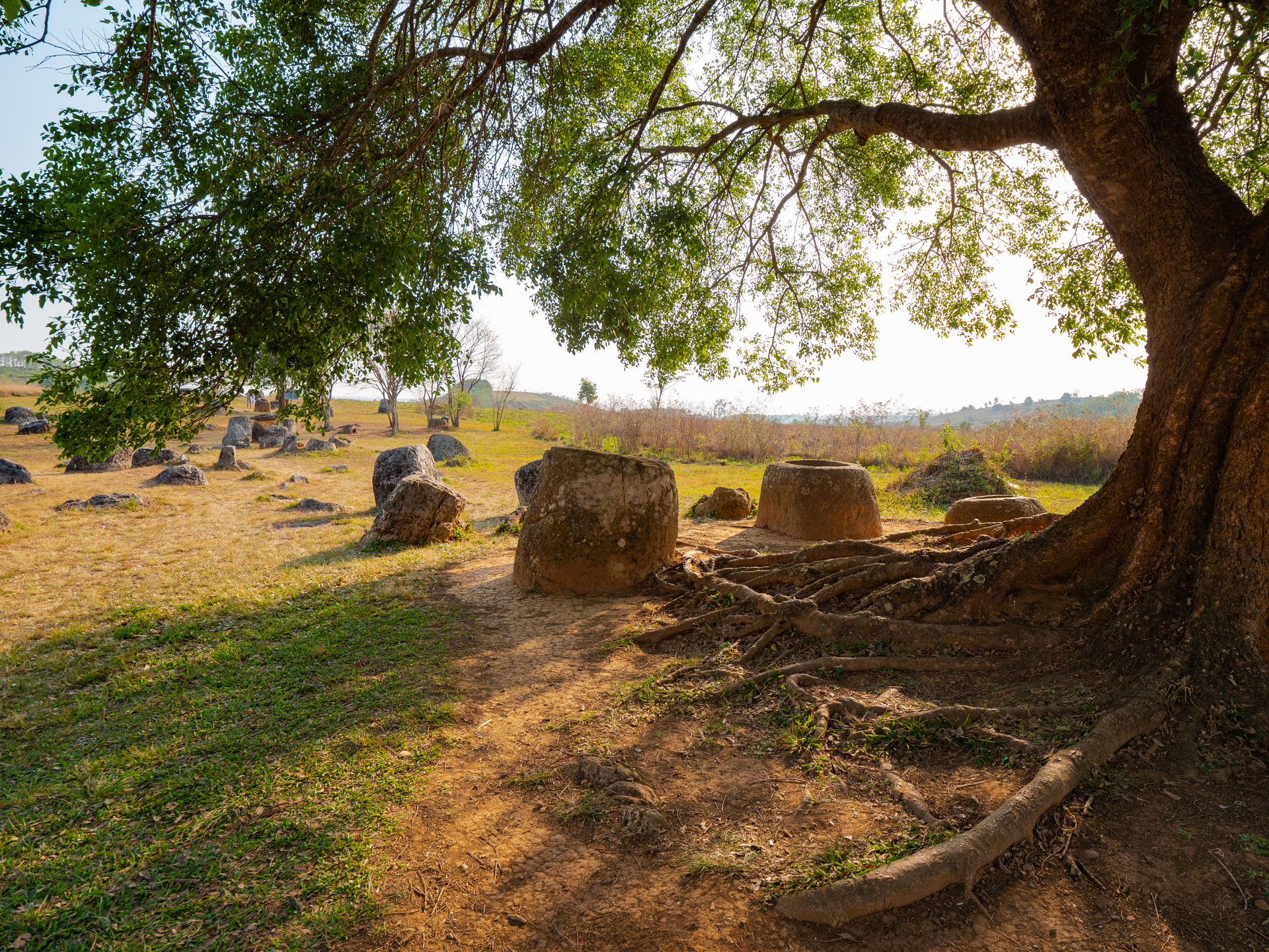 plaine des jarres laos