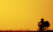 velo vietnam jaune