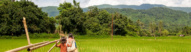 village laos marche riziere