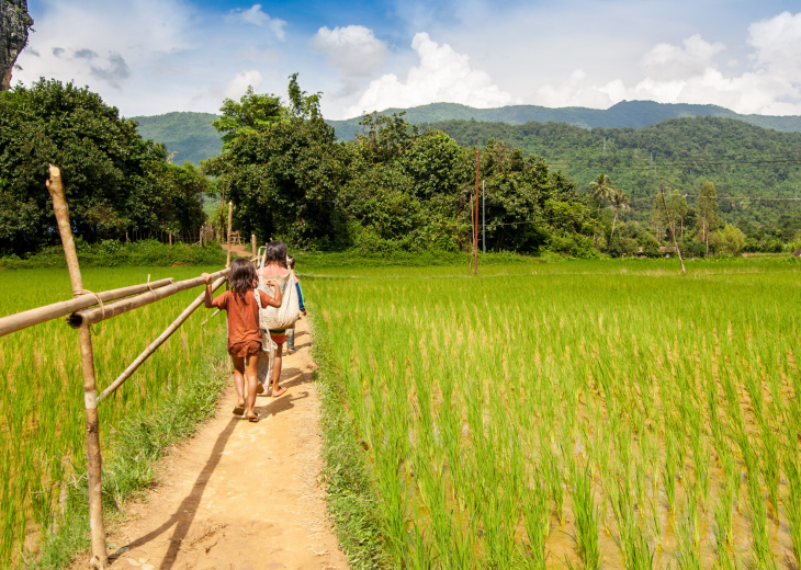 village laos marche riziere