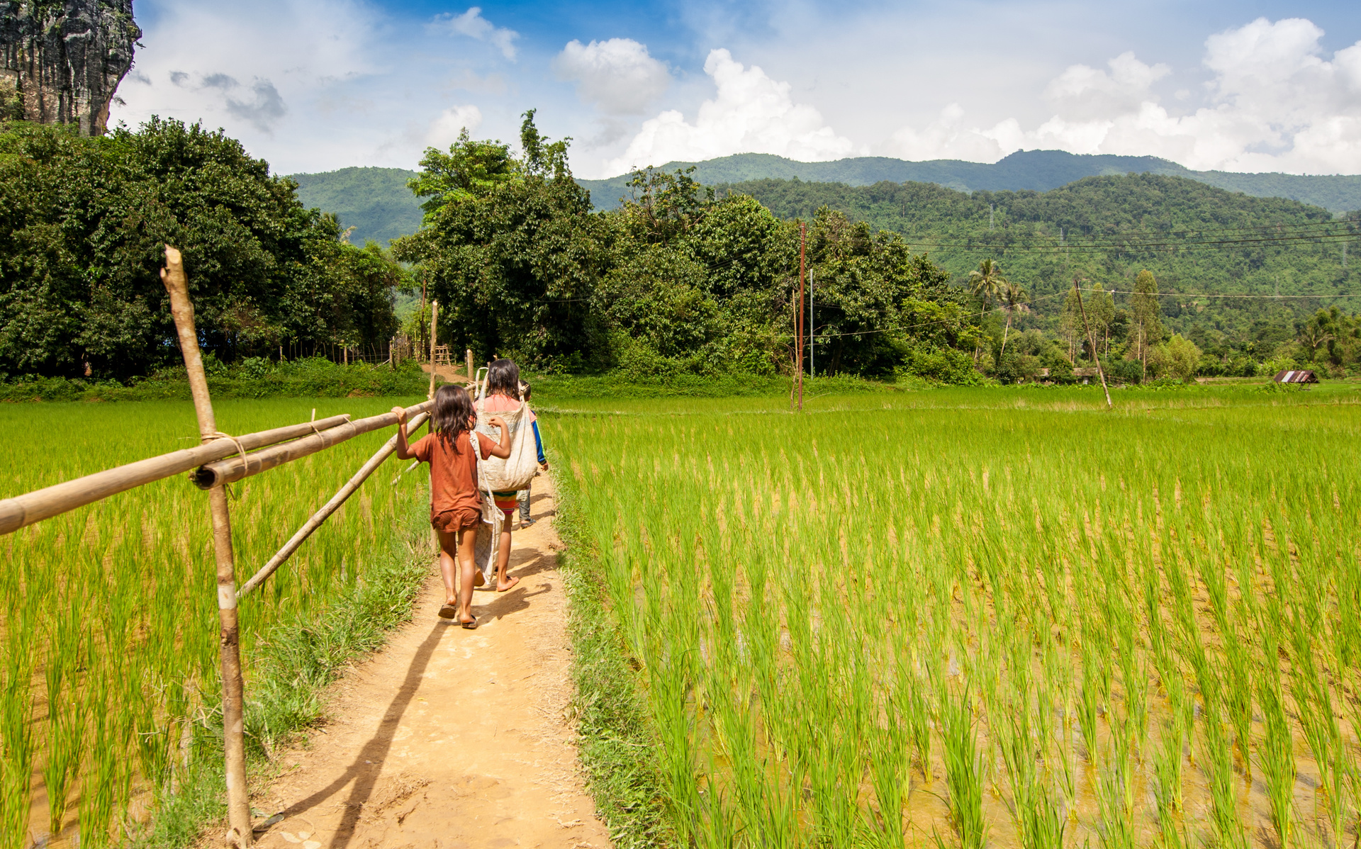 village laos marche riziere